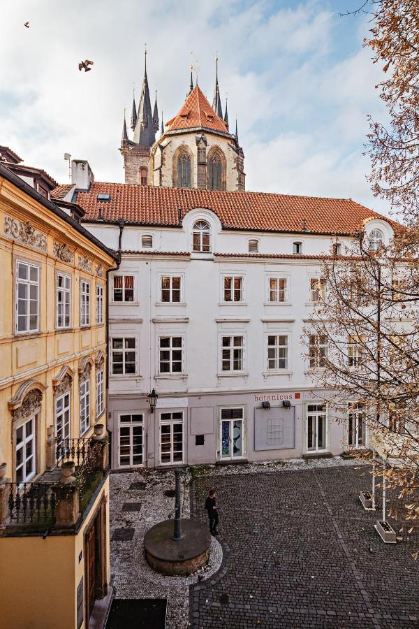 U Cerneho Medveda- At The Black Bear Apartment Praga Exterior foto